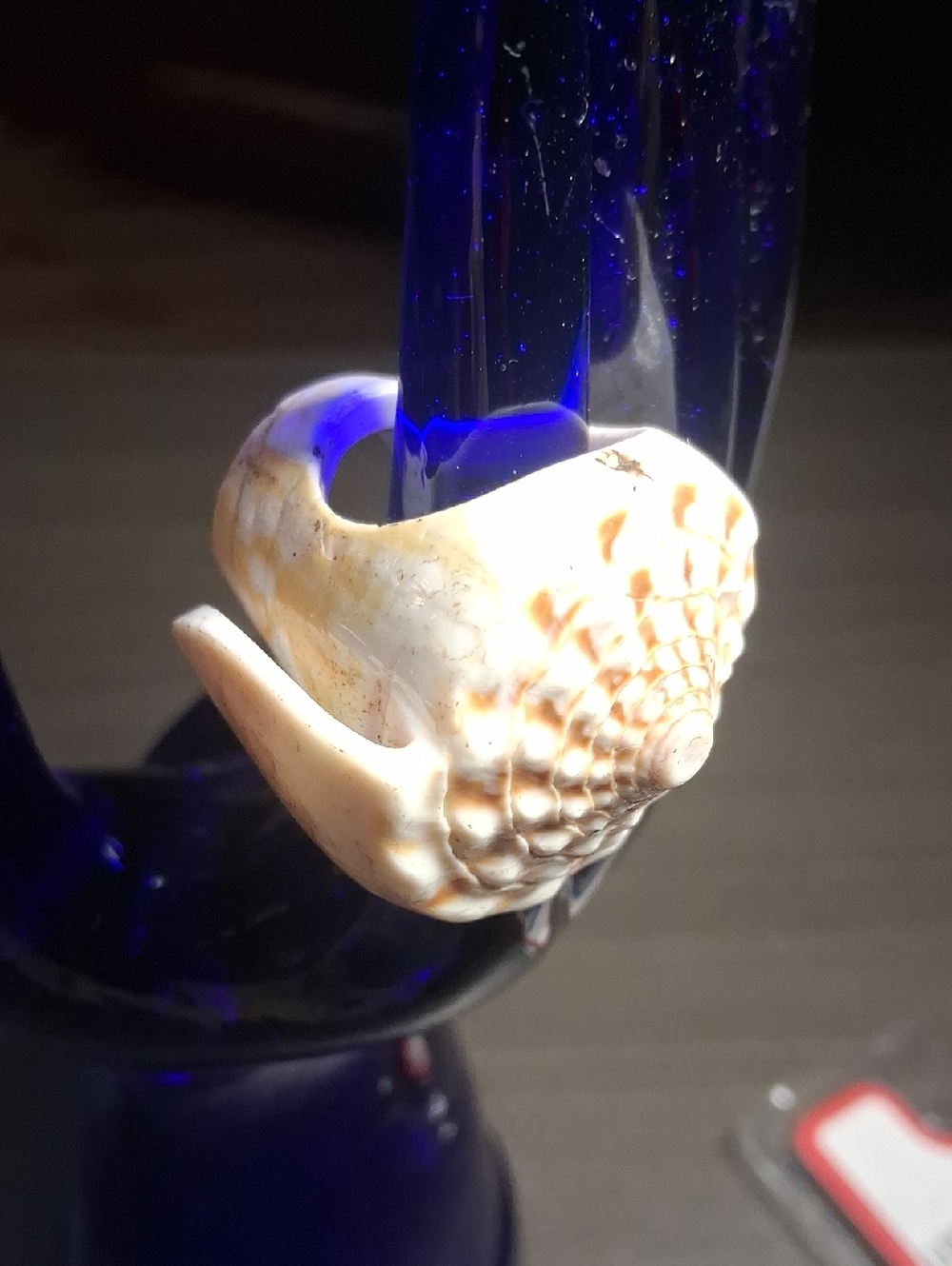 Vintage Cream and Tan Shell Ring